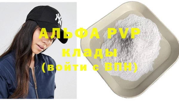 индика Баксан