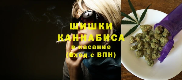 индика Баксан