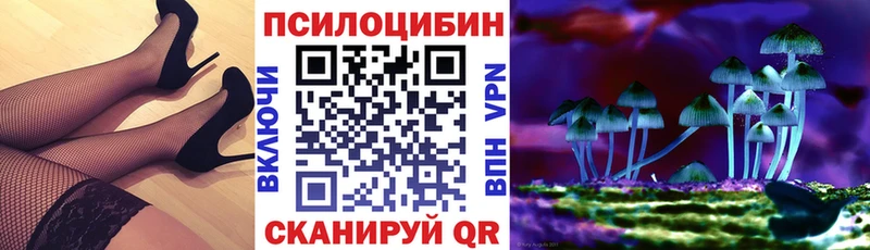 Псилоцибиновые грибы MAGIC MUSHROOMS  Богородицк 