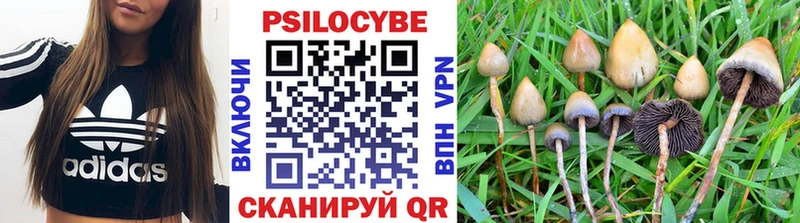 Псилоцибиновые грибы Psilocybine cubensis Богородицк